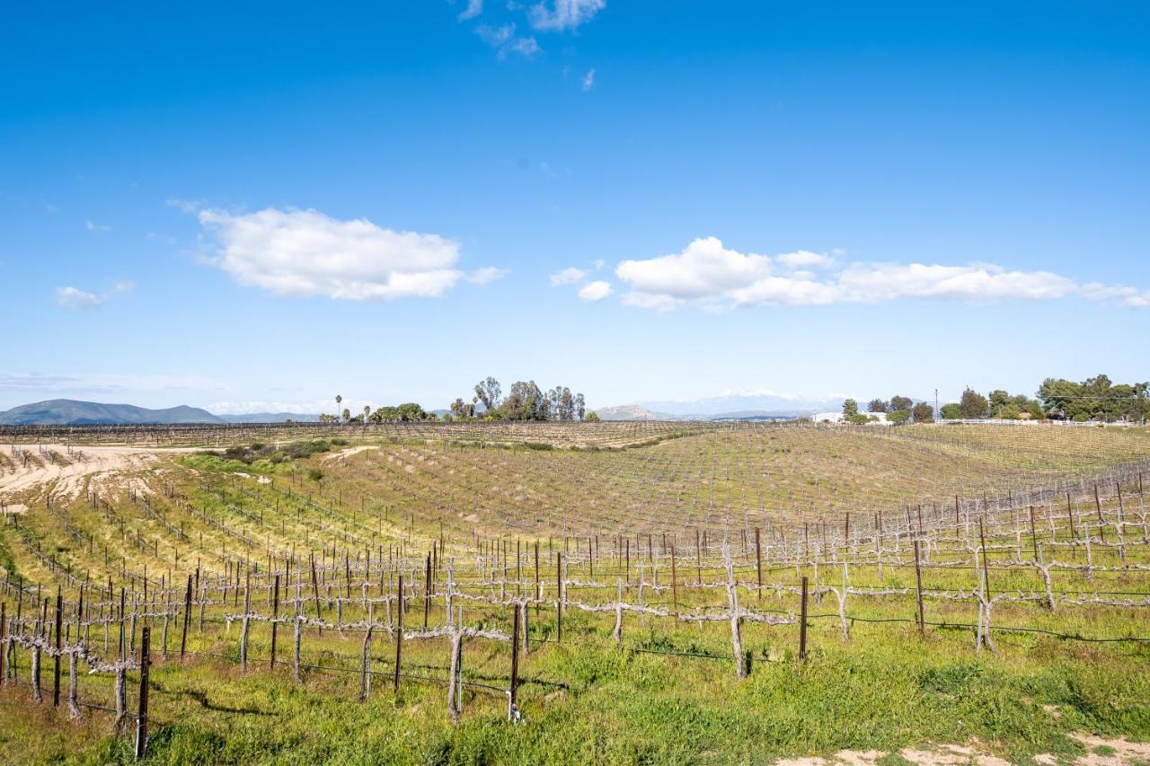 Domaine Chardonnay Bed & Breakfast Temecula Eksteriør bilde