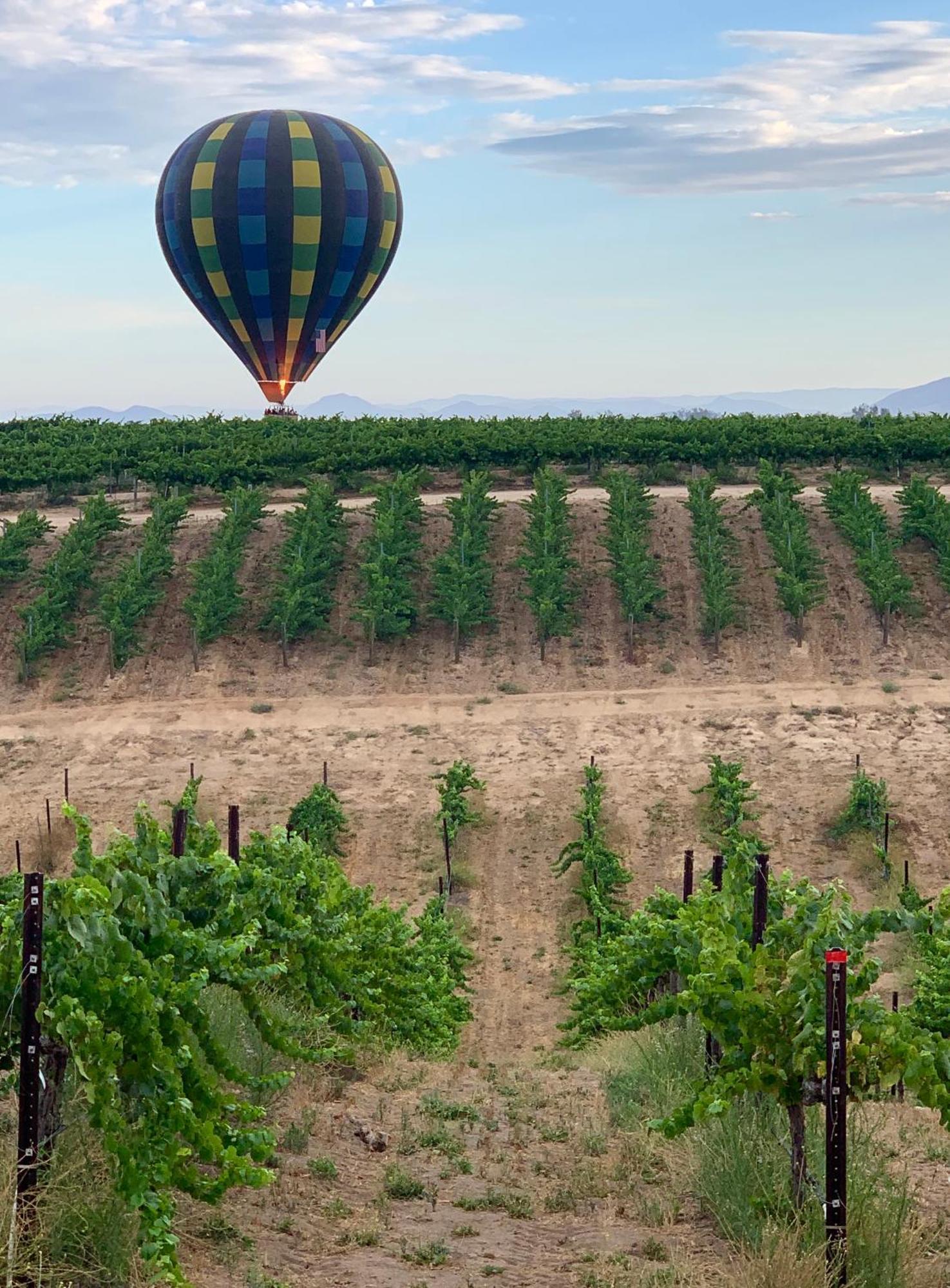 Domaine Chardonnay Bed & Breakfast Temecula Eksteriør bilde