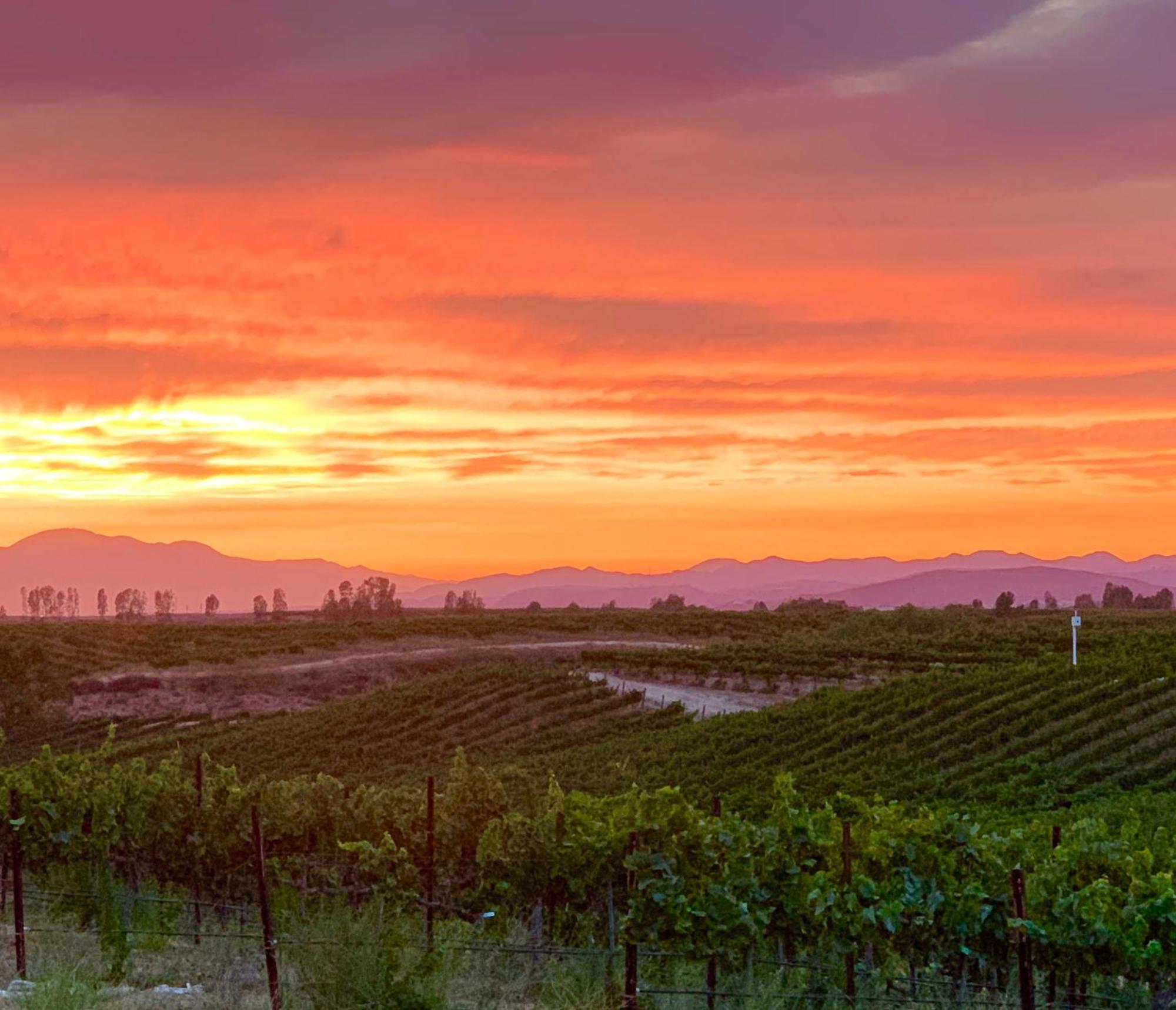 Domaine Chardonnay Bed & Breakfast Temecula Eksteriør bilde