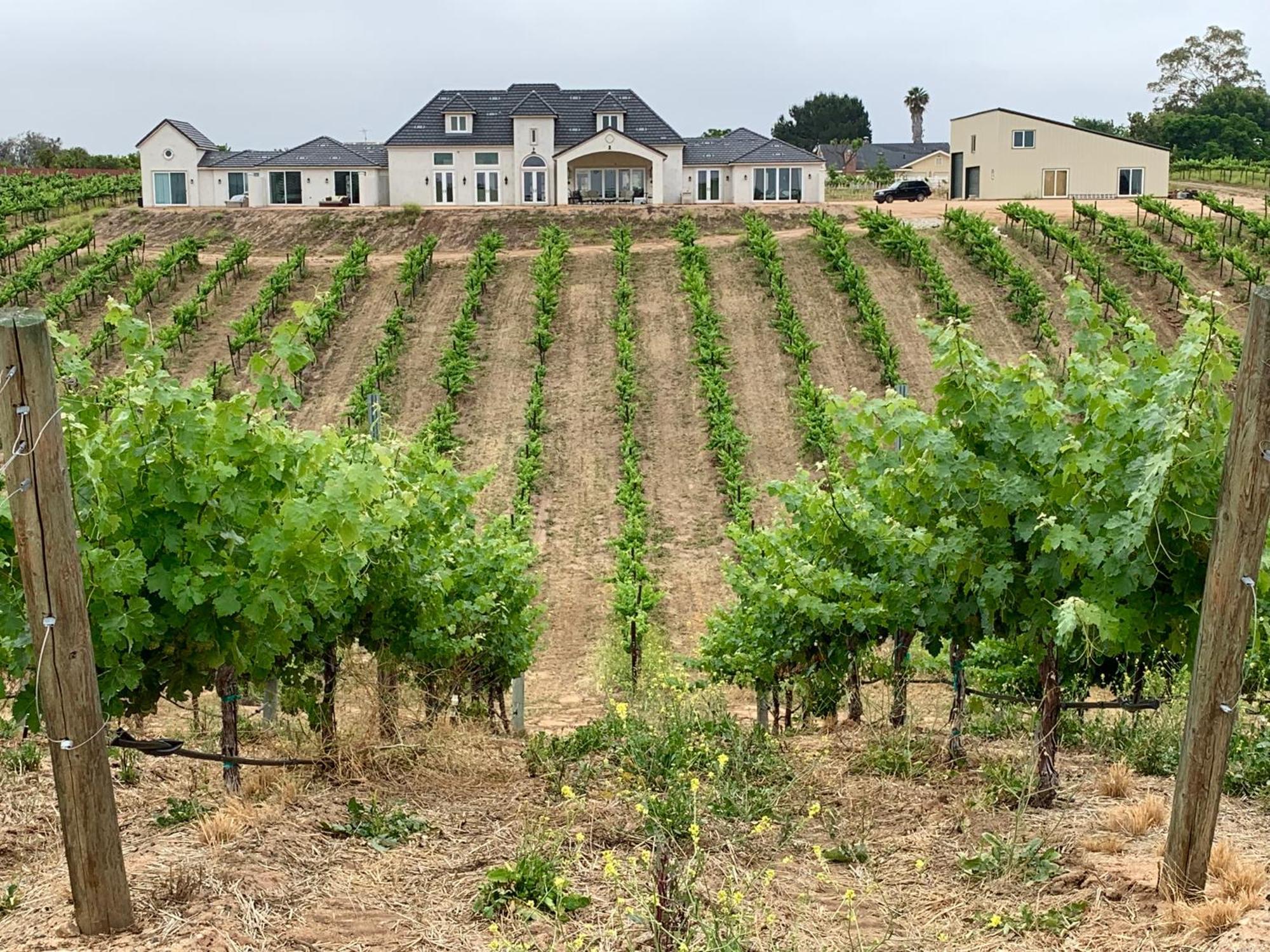 Domaine Chardonnay Bed & Breakfast Temecula Eksteriør bilde
